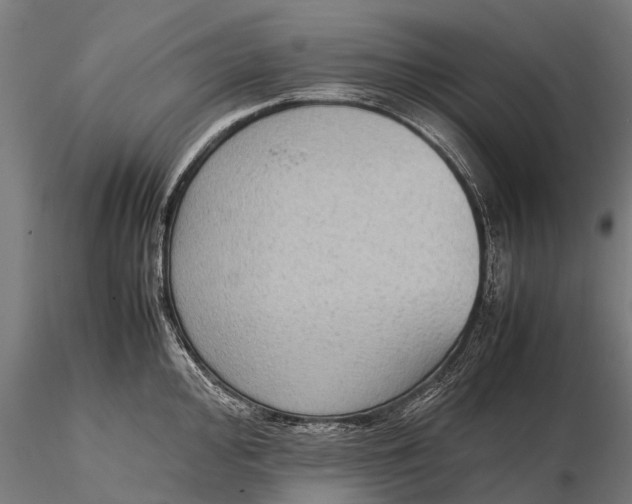 X0000115601000200912011522