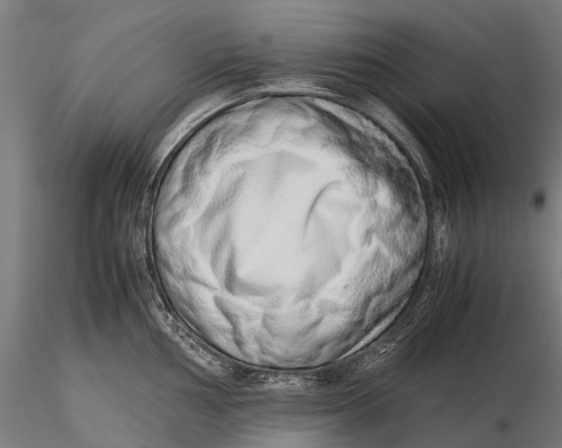 X0000115601002200912011522