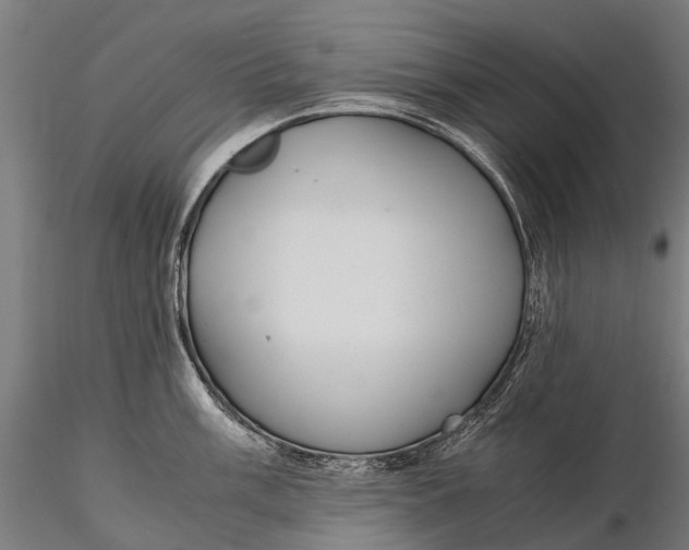 X0000115601003200912011522