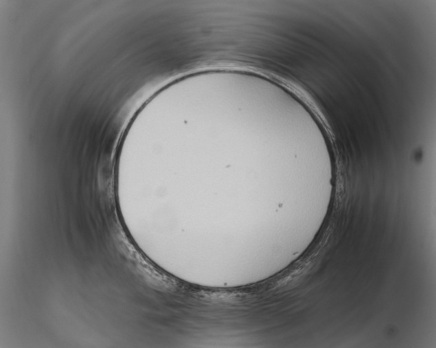 X0000115601004200912011522