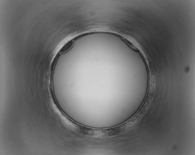 X0000115601005200912011522