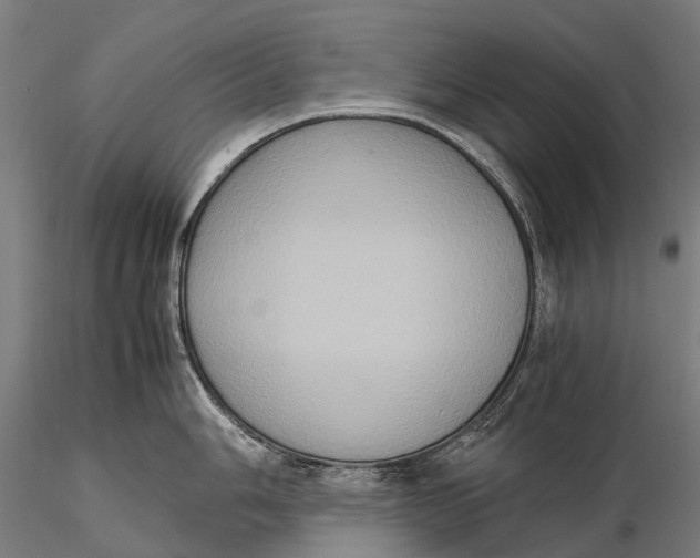 X0000115601006200912011522