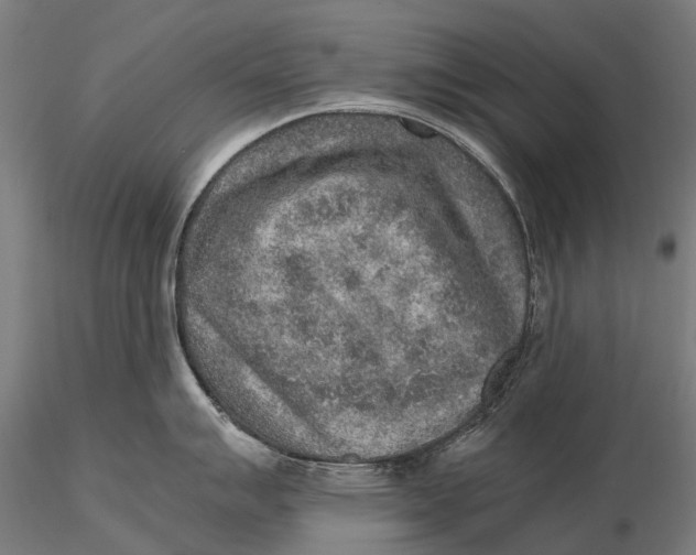 X0000115601007200912011522