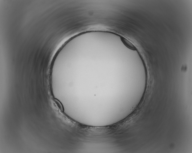 X0000115601008200912011522