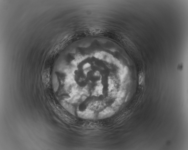 X0000115601011200912011521