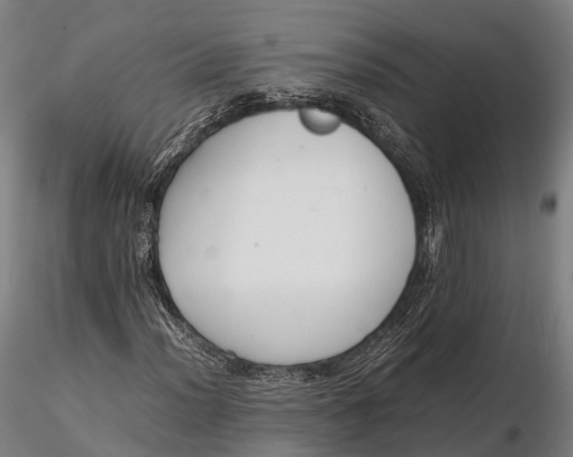 X0000115601012200912011521