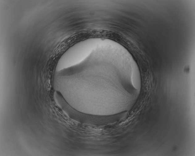 X0000115601013200912011521