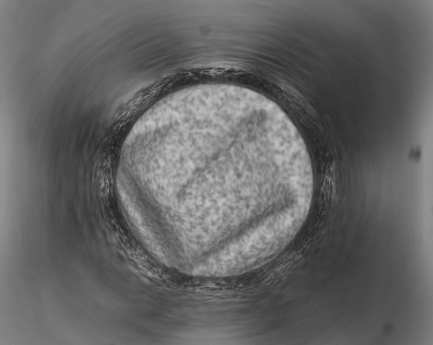 X0000115601014200912011521