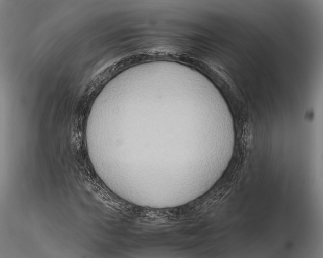 X0000115601015200912011521