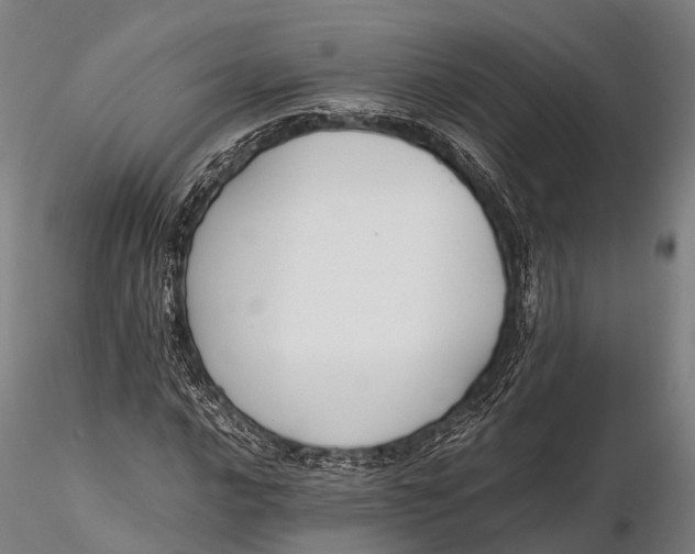 X0000115601016200912011521