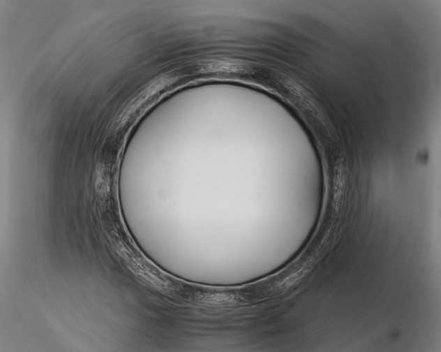 X0000115601017200912011521