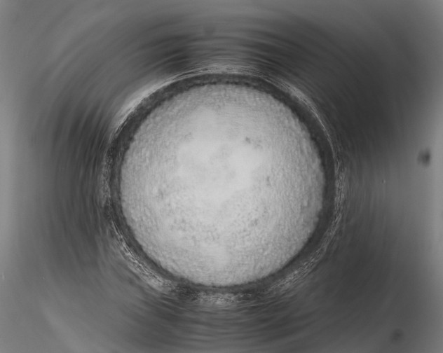 X0000115601019200912011521