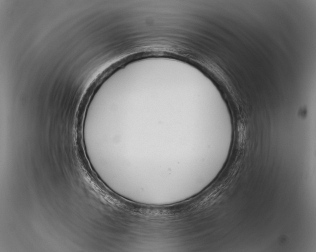 X0000115601020200912011521