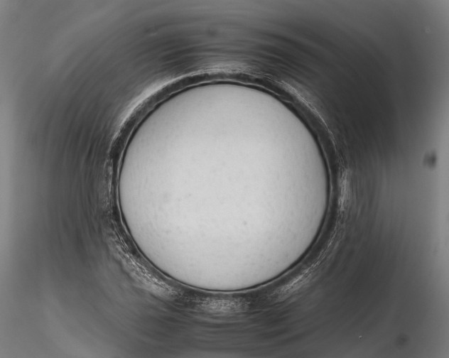 X0000115601021200912011521