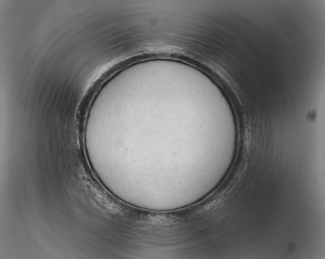 X0000115601022200912011522