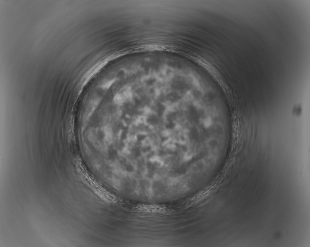 X0000115601023200912011522