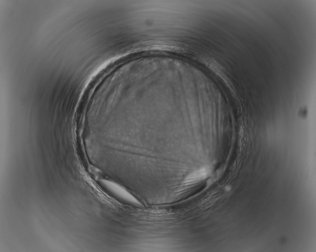 X0000115601024200912011522