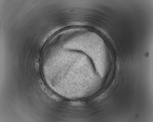 X0000115601025200912011522