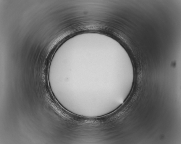 X0000115601026200912011522