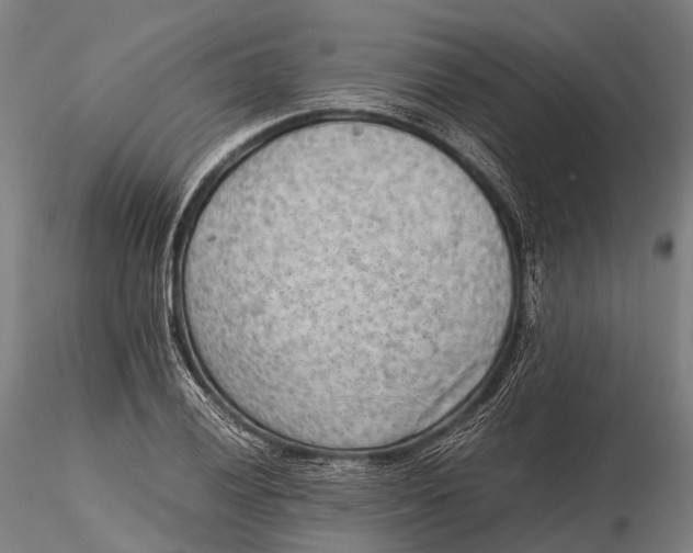 X0000115601028200912011522