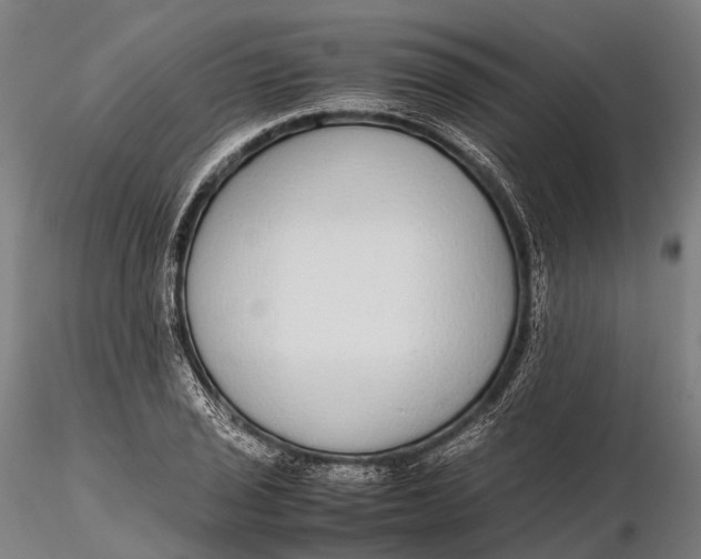 X0000115601029200912011522