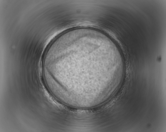 X0000115601032200912011522