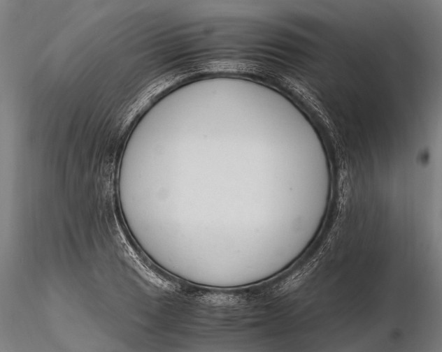 X0000115601033200912011522