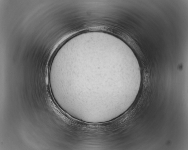 X0000115601036200912011522