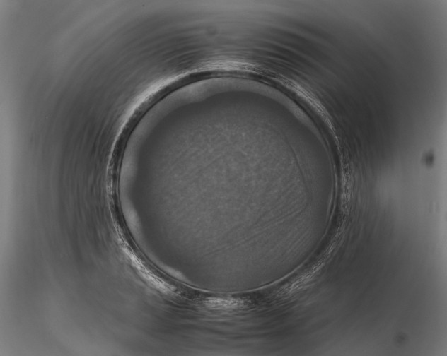 X0000115601037200912011522