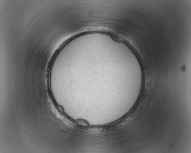 X0000115601038200912011522