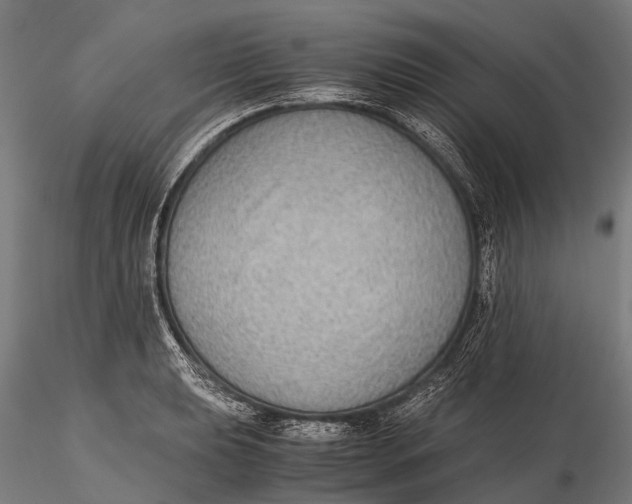 X0000115601039200912011522