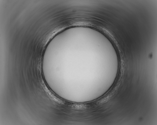 X0000115601041200912011522