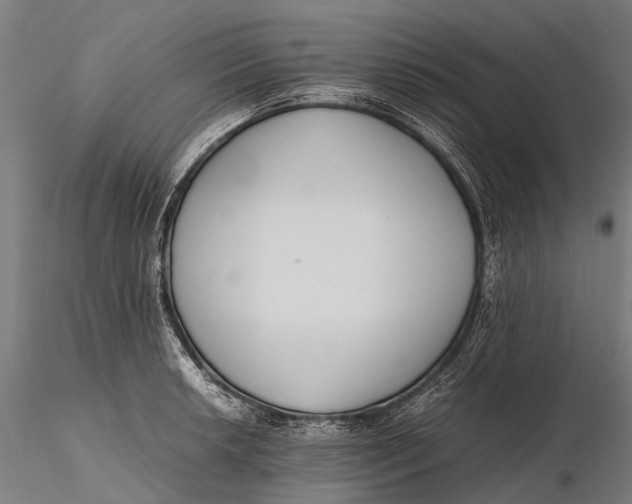 X0000115601042200912011522