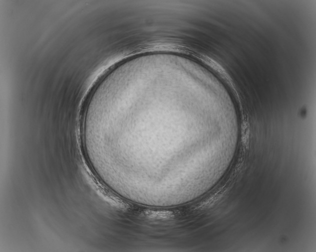 X0000115601043200912011522