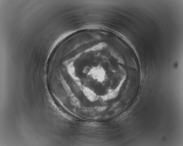 X0000115601045200912011522