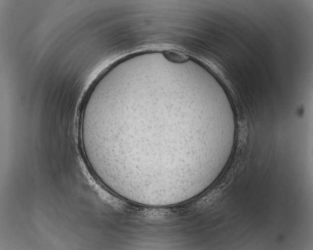 X0000115601046200912011522