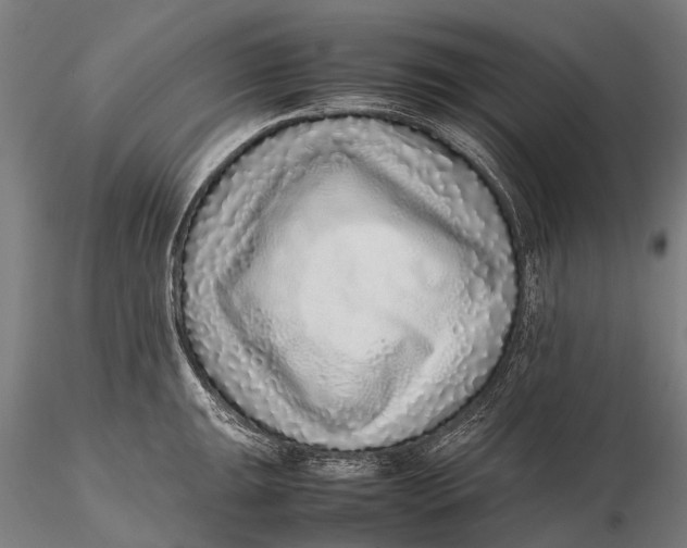 X0000115601047200912011522