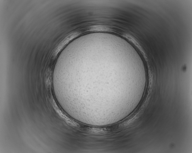 X0000115601049200912011522