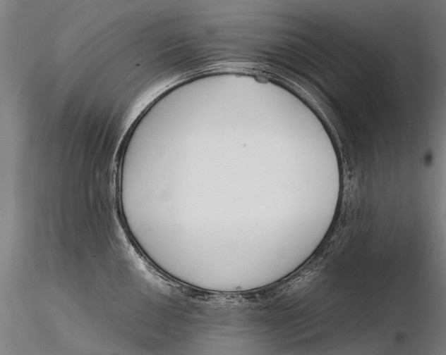 X0000115601050200912011522