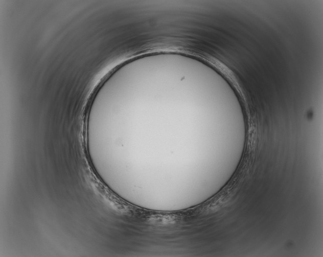 X0000115601051200912011522