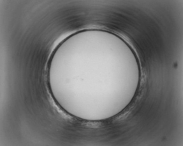 X0000115601053200912011522