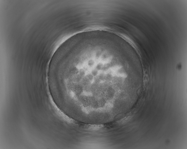 X0000115601055200912011522