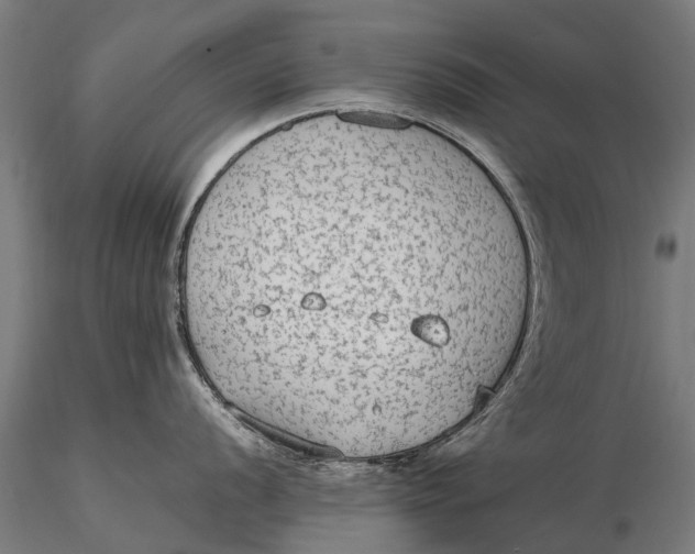 X0000115601056200912011522