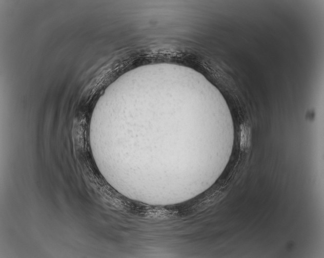 X0000115601059200912011521