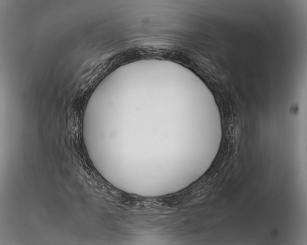 X0000115601061200912011521