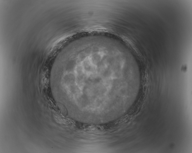 X0000115601063200912011521