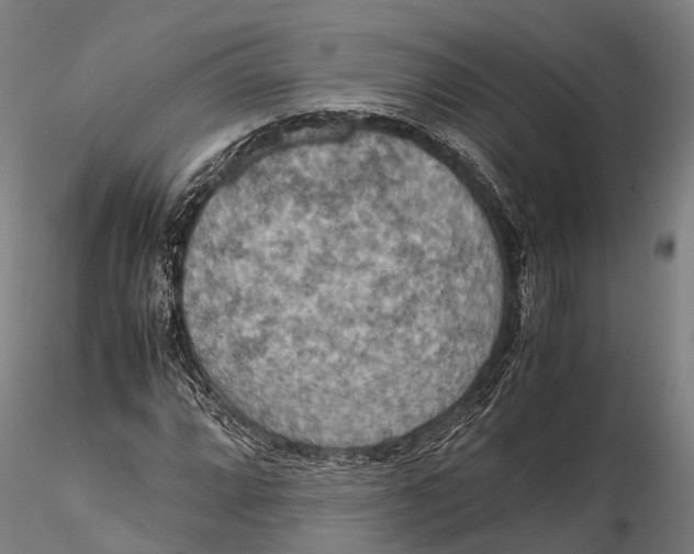 X0000115601064200912011521