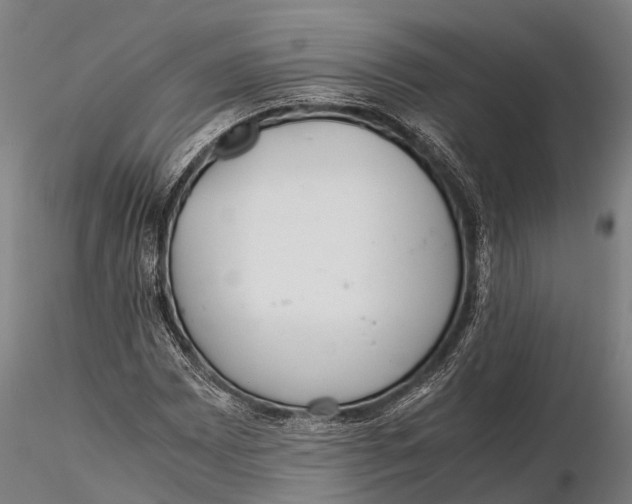 X0000115601065200912011521