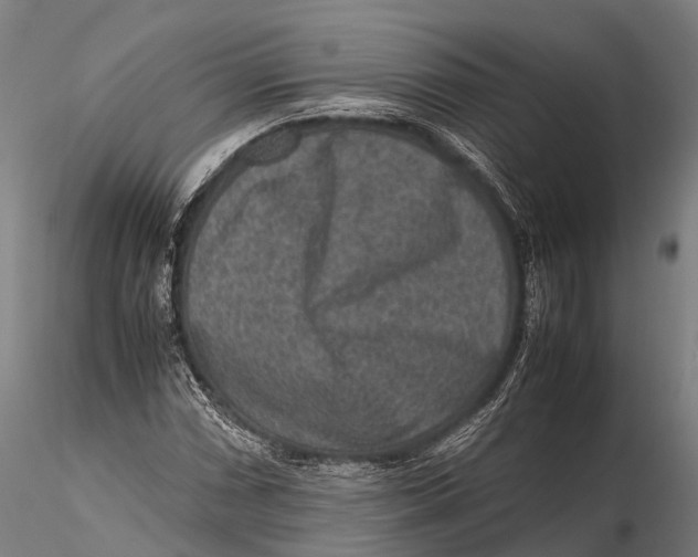 X0000115601066200912011521