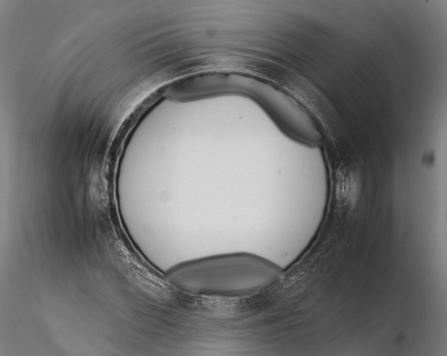 X0000115601068200912011521